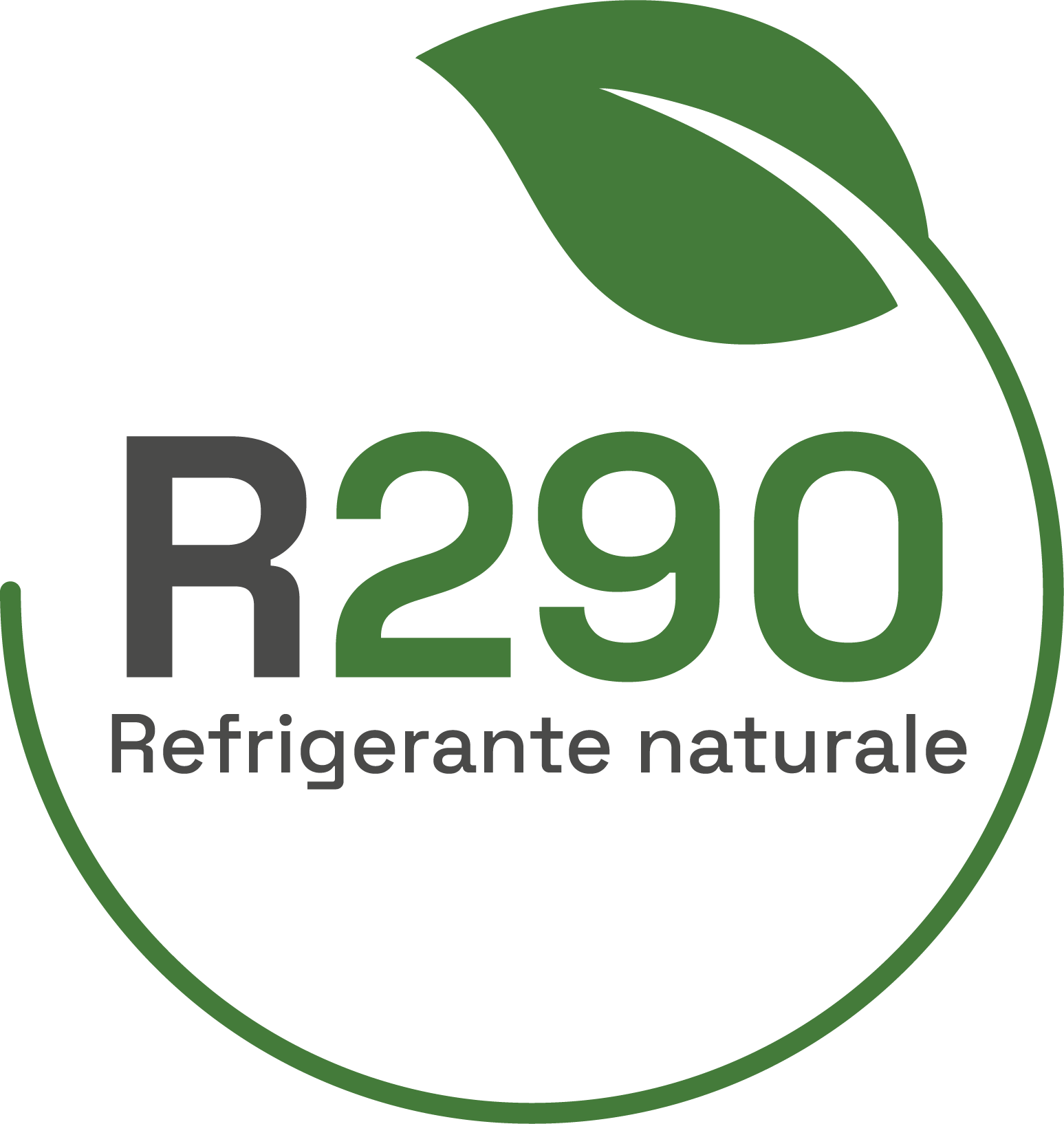 Etiqueta R290 Italiano