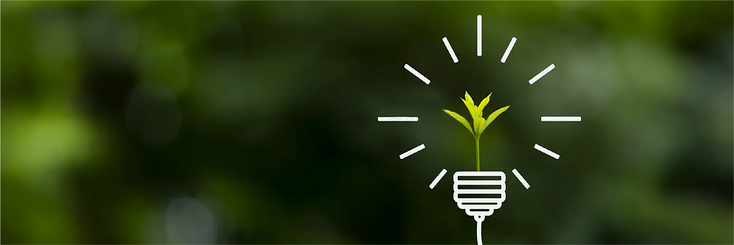 ¿Qué es el CAE? Como puedes monetizar tu eficiencia